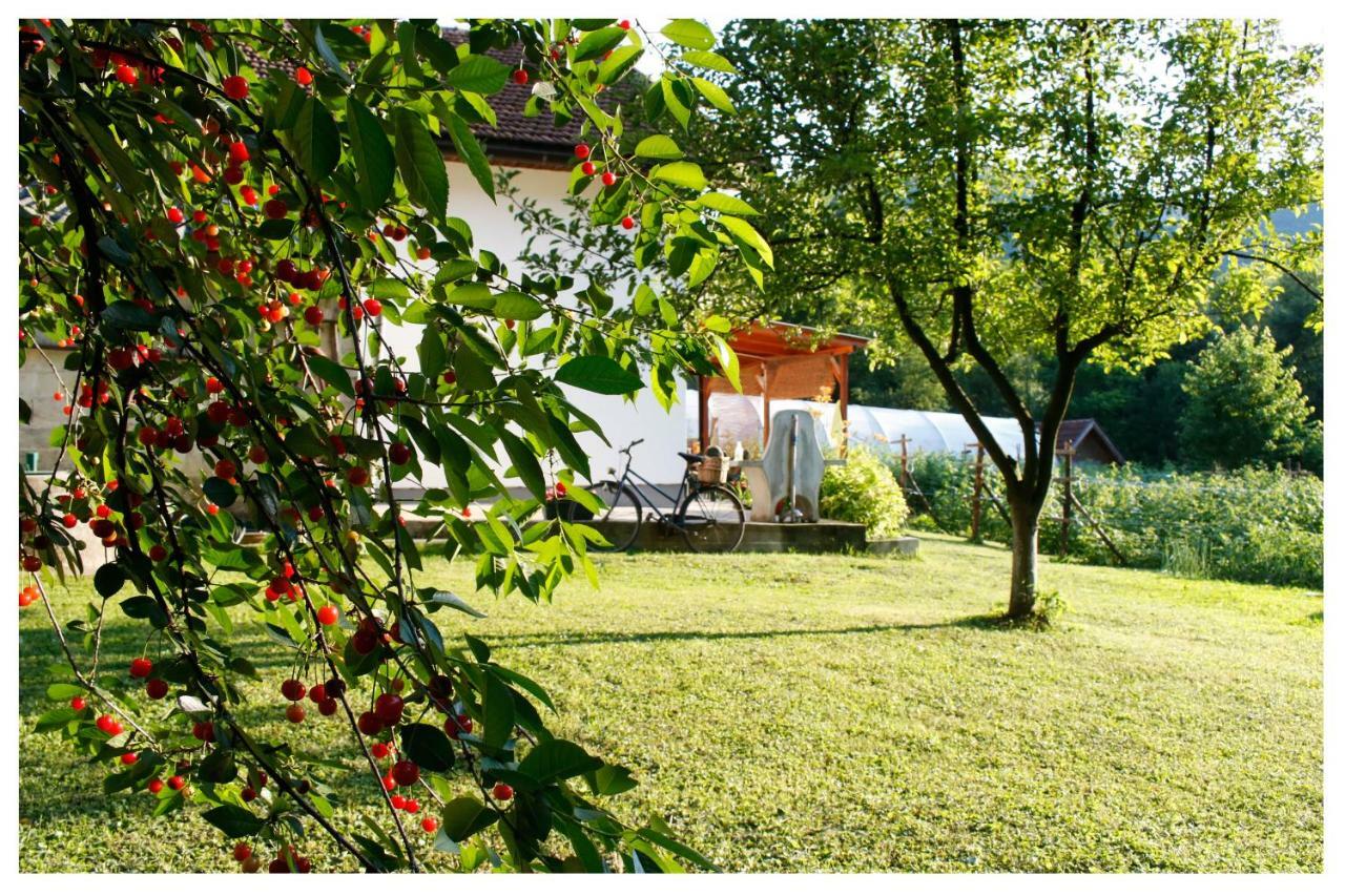 Holiday Residence Buric Visoko Ngoại thất bức ảnh